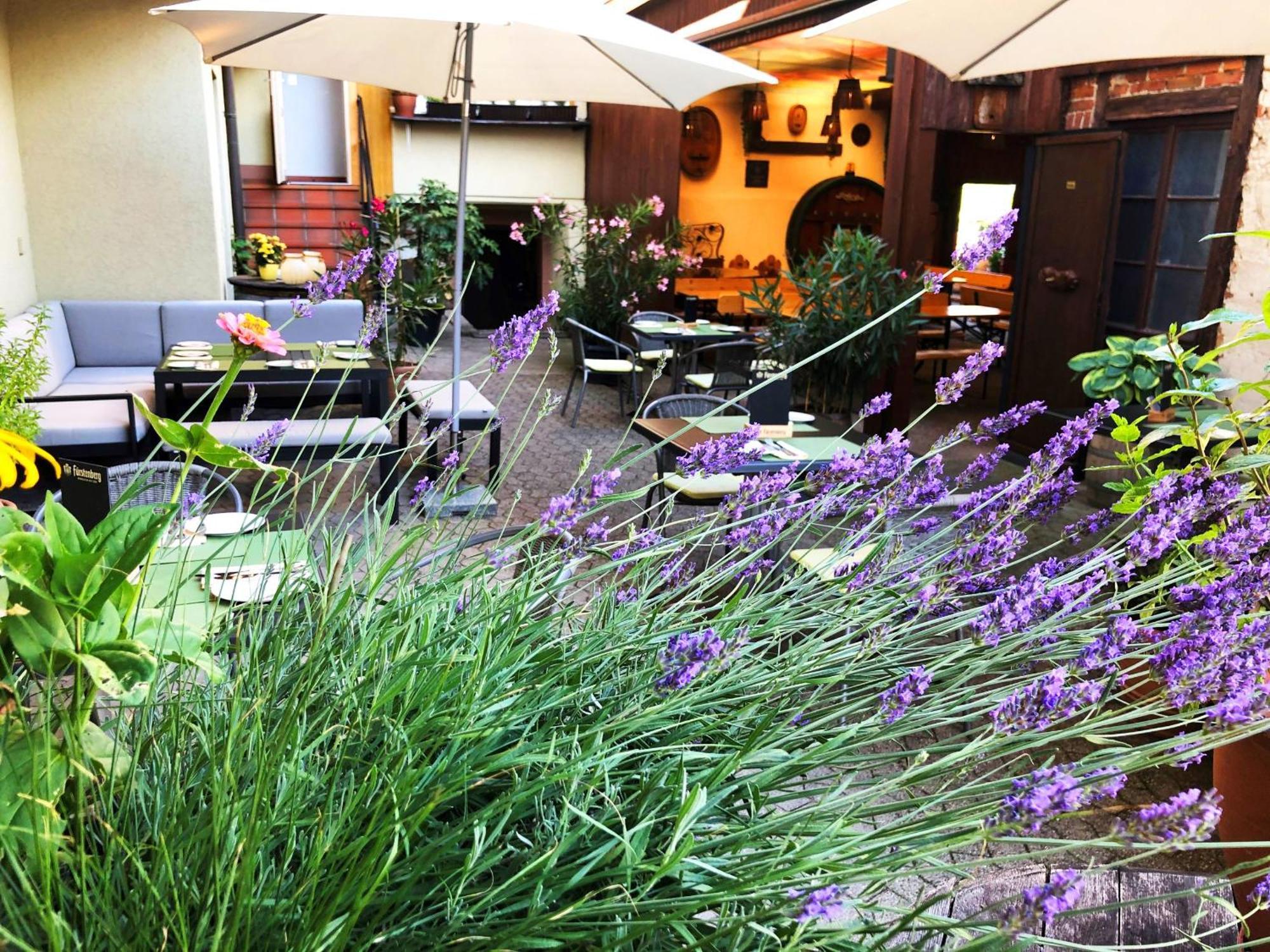 Appartements 'In Vino Veritas' Haslach im Kinzigtal Exterior foto